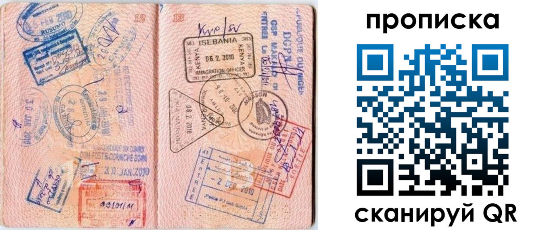 прописка для школы в Чкаловске